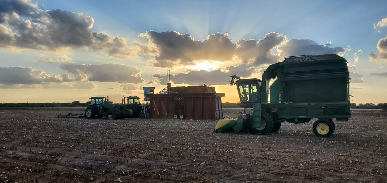 Cotton stripping good day!