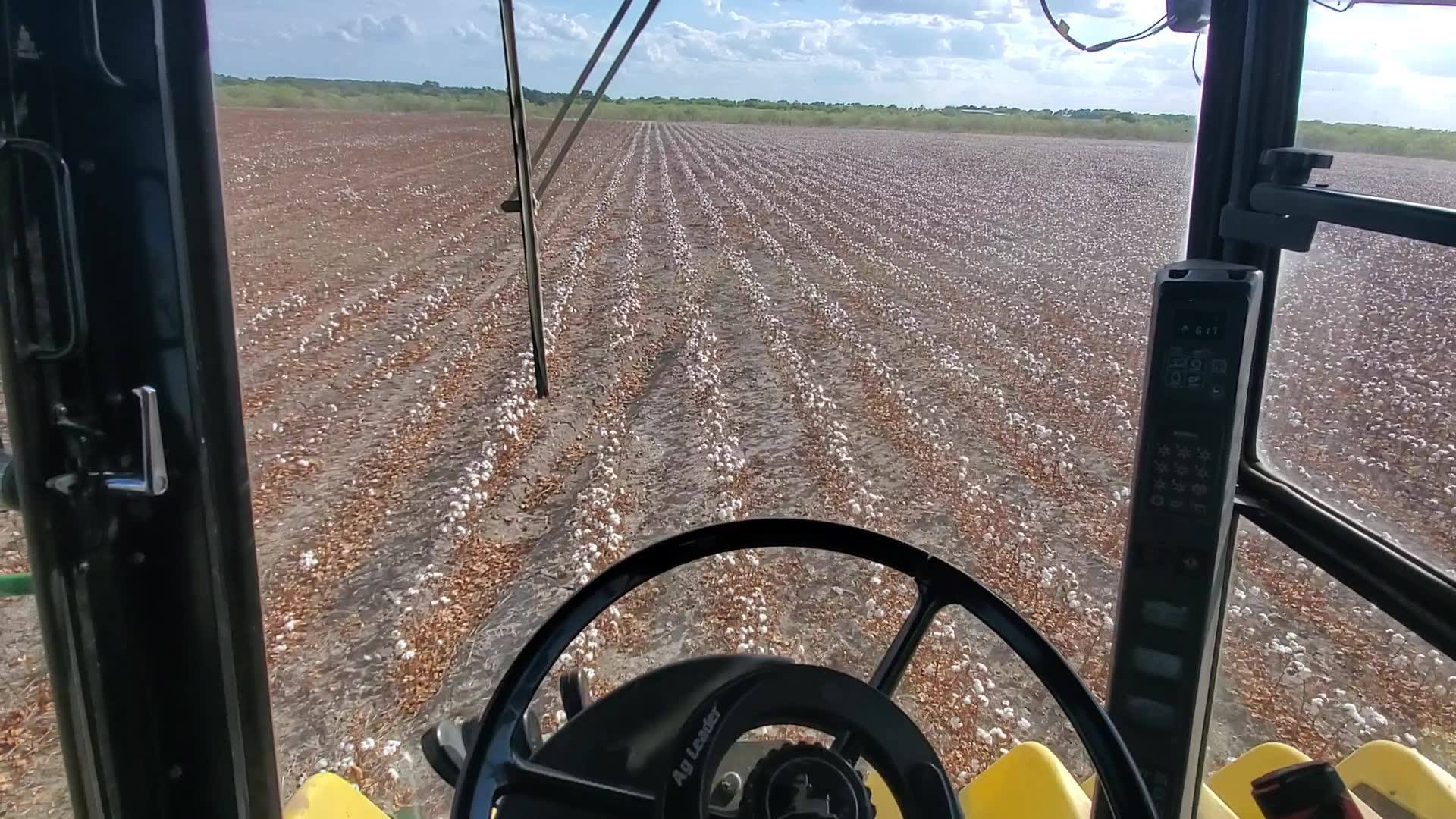 Lil bit of cotton yield monitoring! And auto steering. Not too much cotton however…..