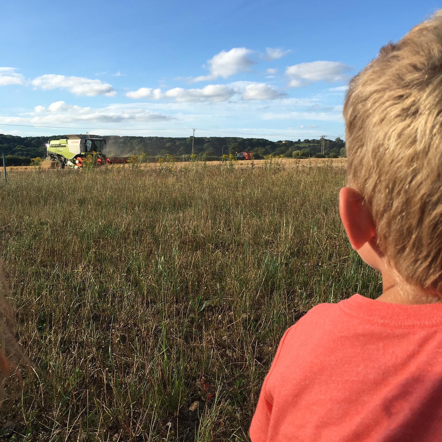 “Farming is like any other job, only you punch in at age 5 and never punch out.” —An…