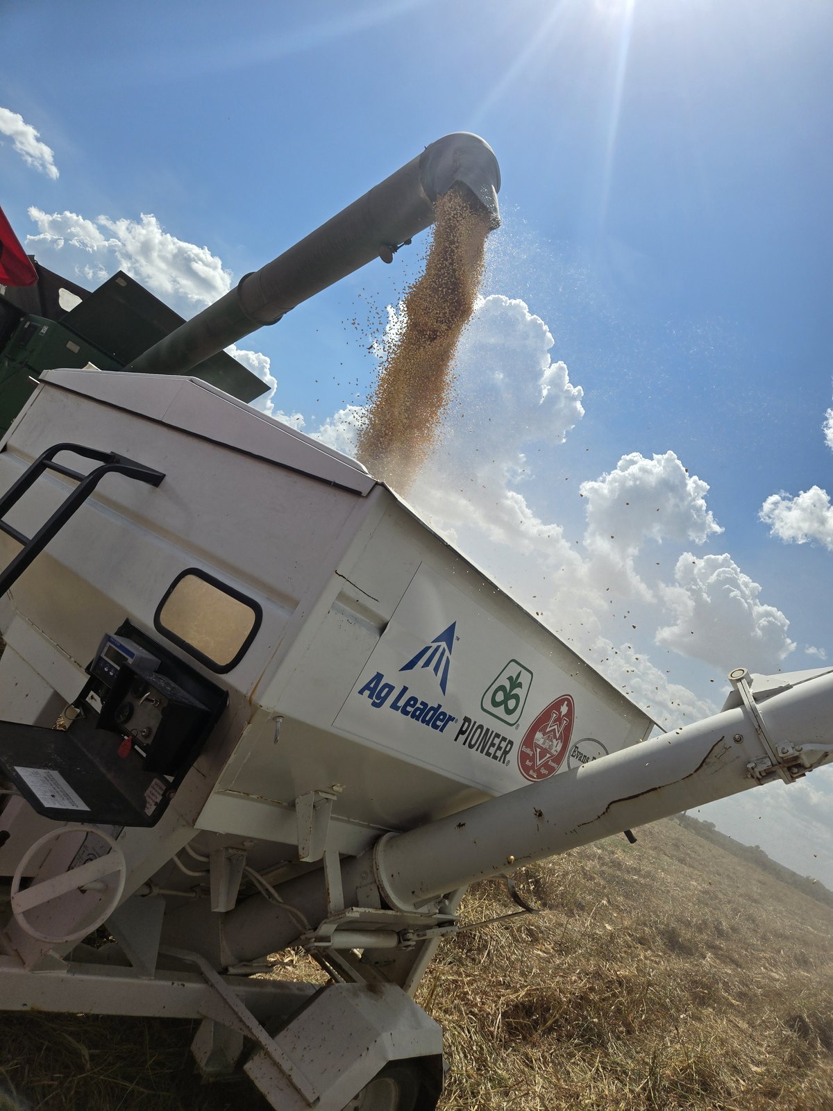 Grain augering into a seed tender in a cut field, Ag Leader and Pioneer decals on its side, the sun flaring above