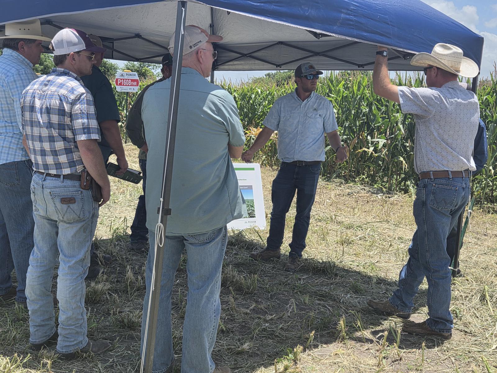 Under the canopy at the plot edge, one man holding a handout while another talks, a Pioneer hybrid marker sign behind them